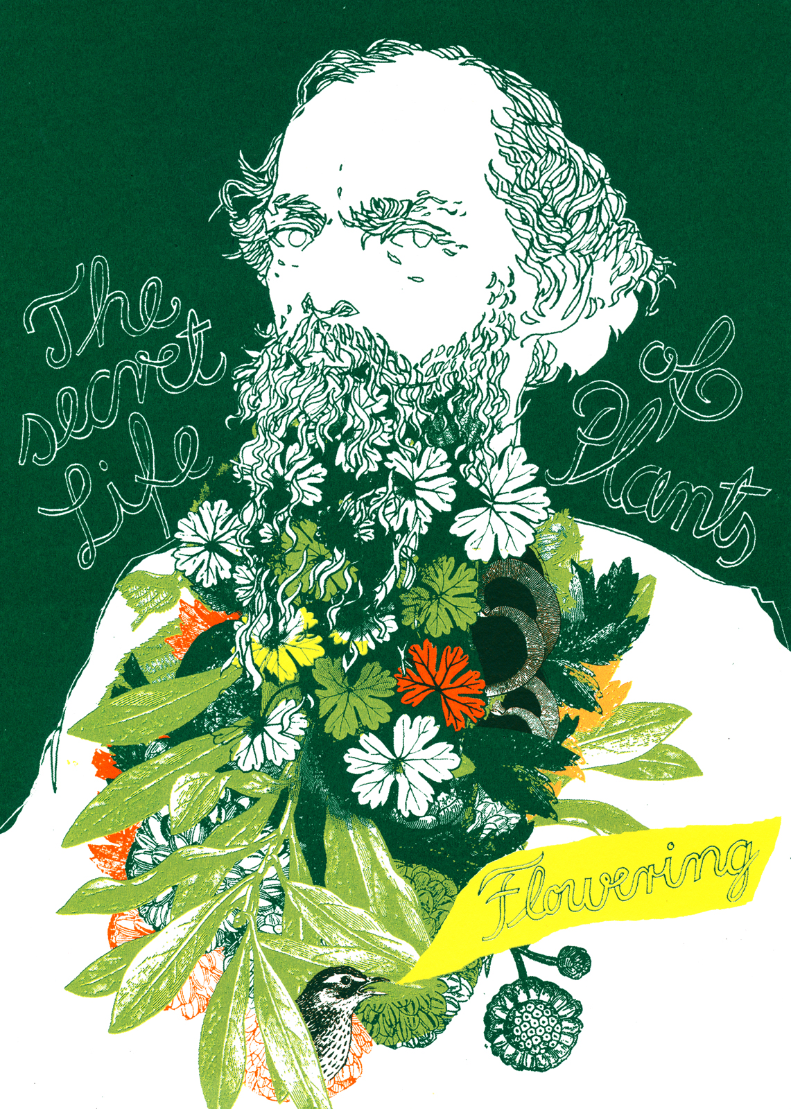 The secret Life of Plants - Flowering