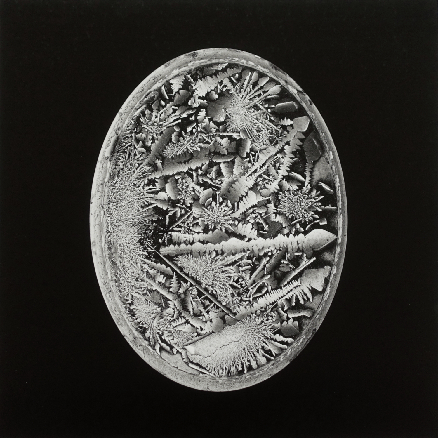 REM – Michael Wismar