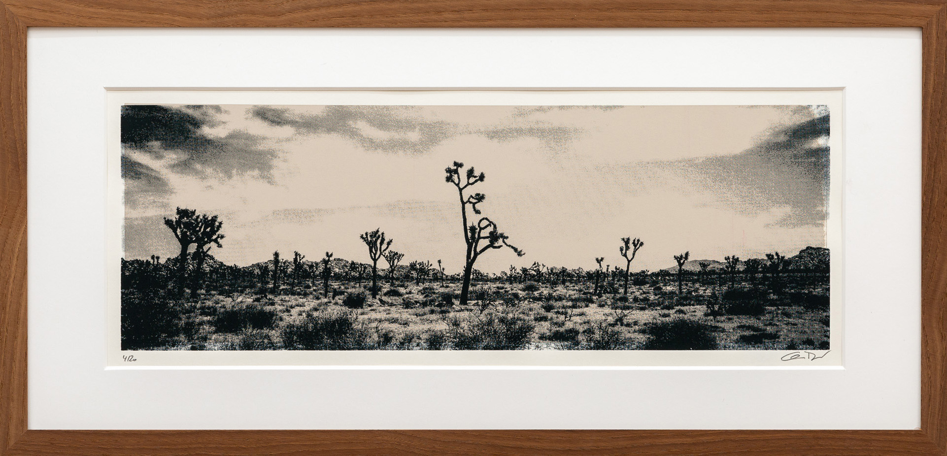 Christian Reister – Joshua Tree