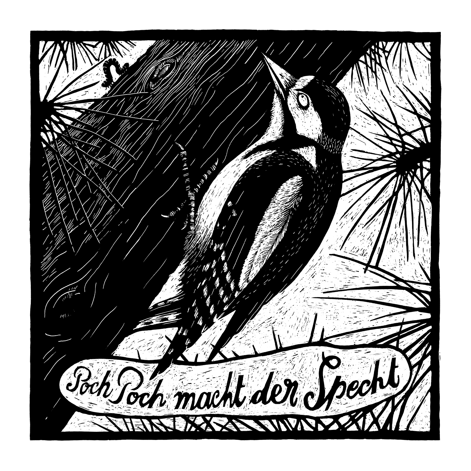 Specht – Phillip Janta