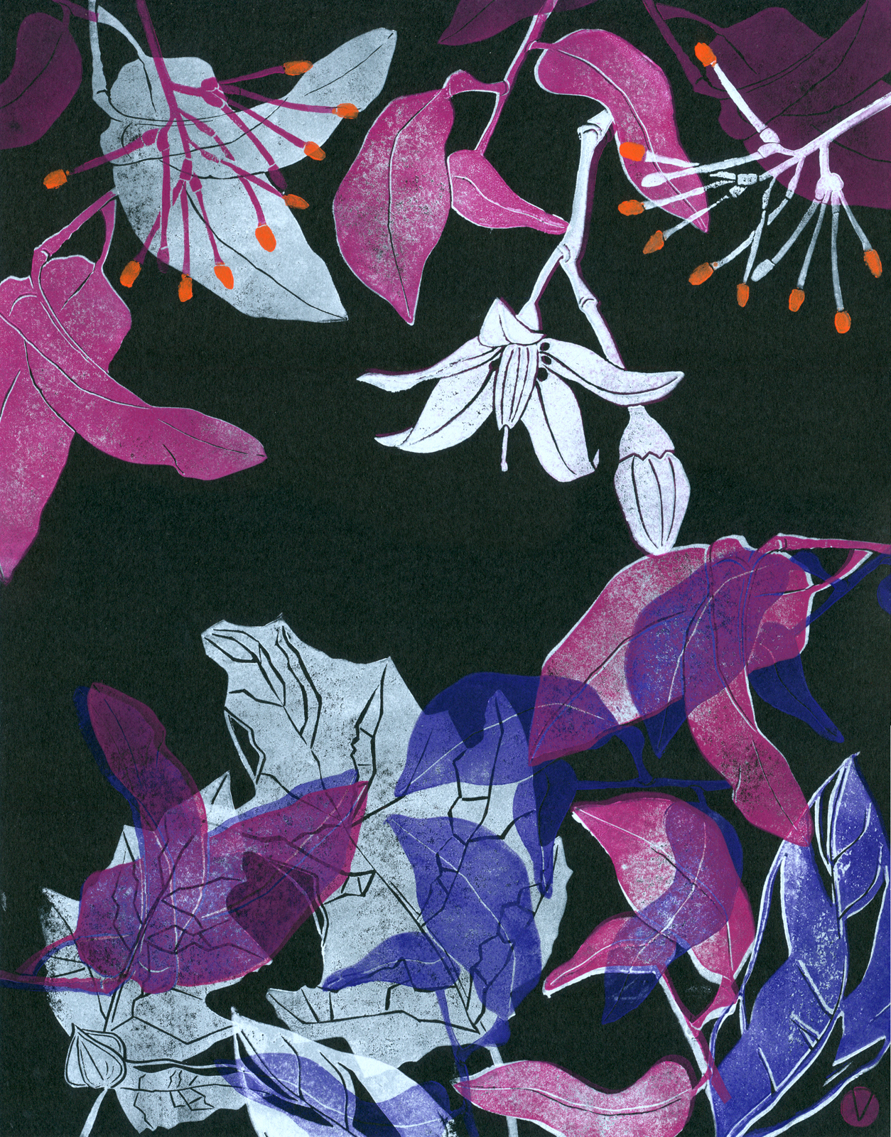 Nachtschattengewächse - Nina Heinke & Verena Postweiler