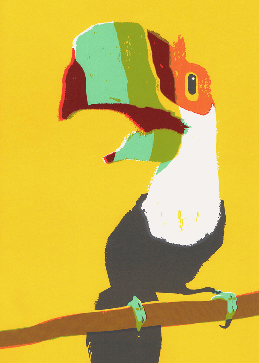 Tucano - Yves Haltner