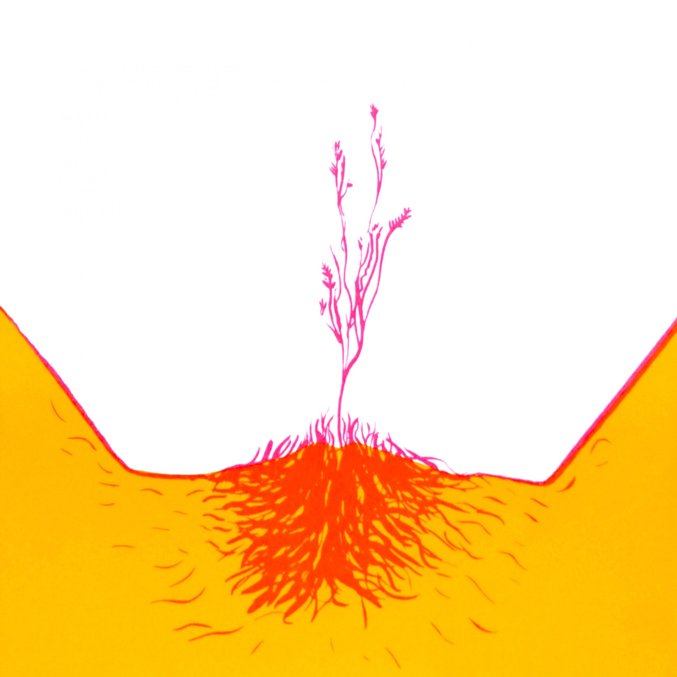 brota – Natalia Lisinicchia