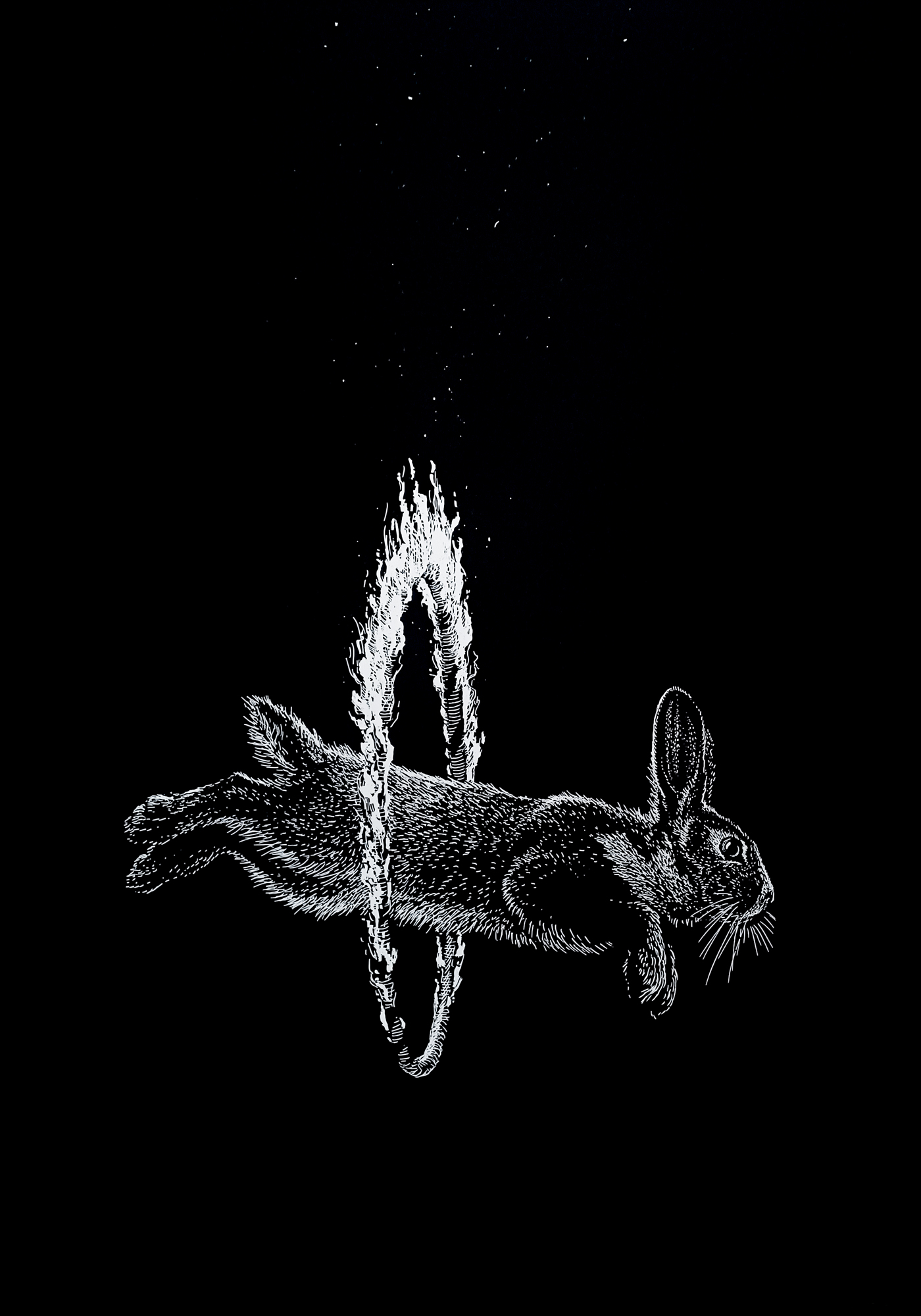 Hasensprung – Phillip Janta