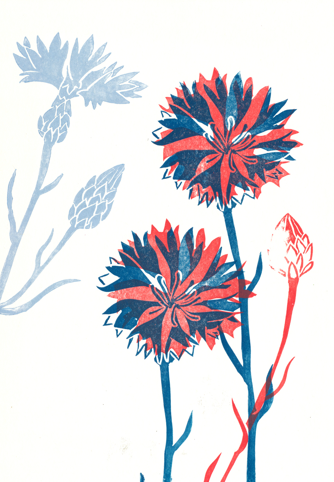 Wildblumen 3 - Nina Heinke & Verena Postweiler