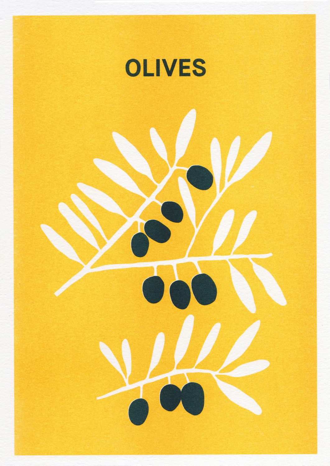 Olives – La Météo