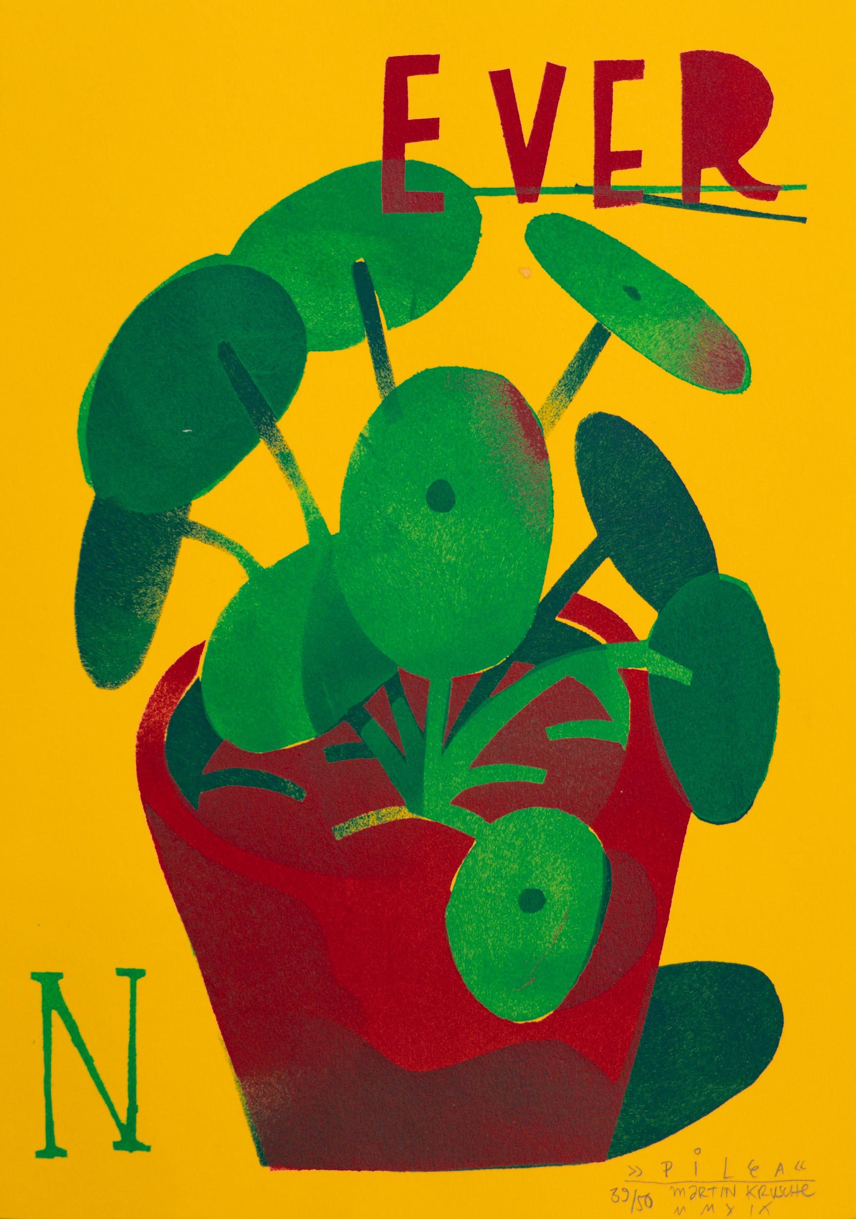 Pilea – Martin Krusche