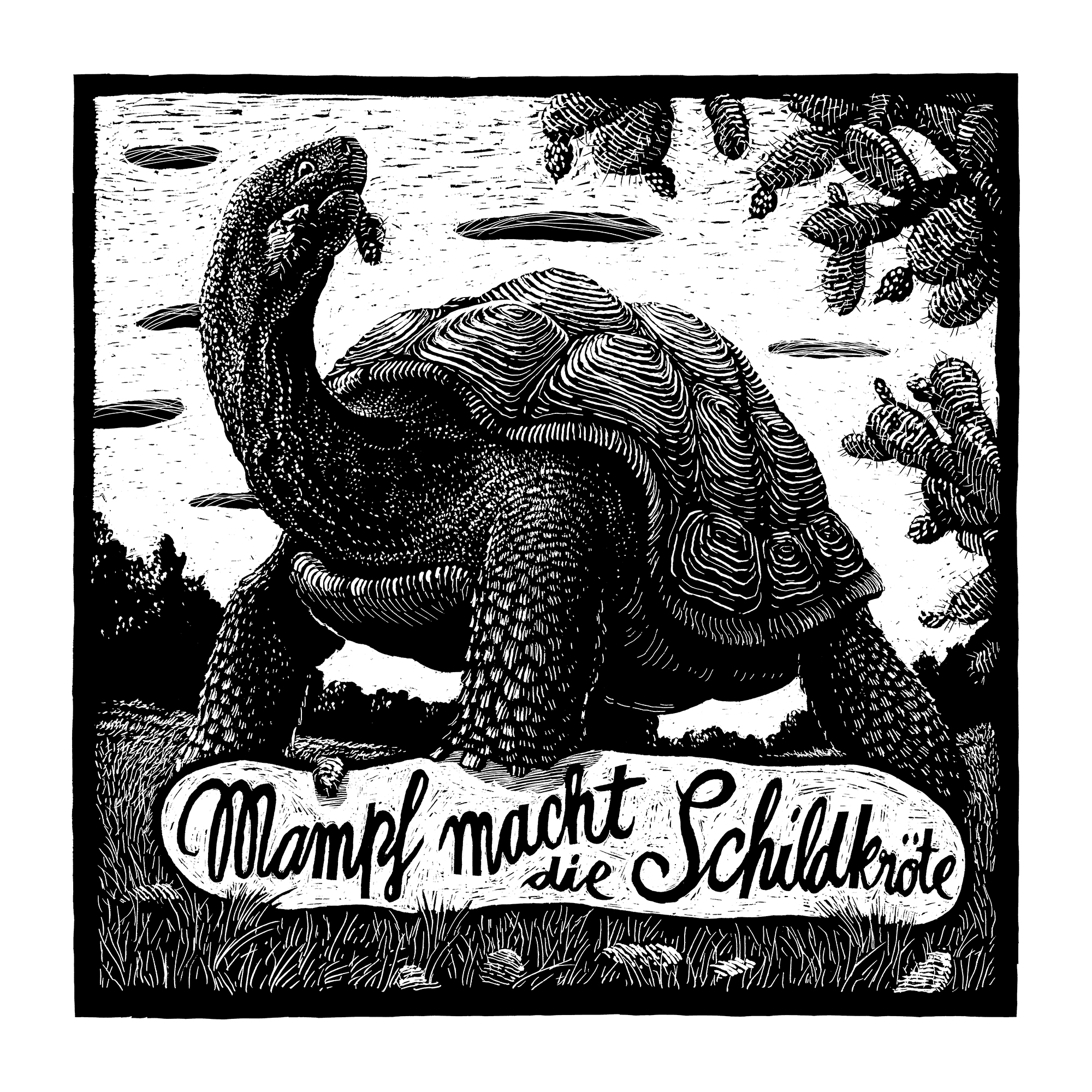 Schildkröte – Phillip Janta