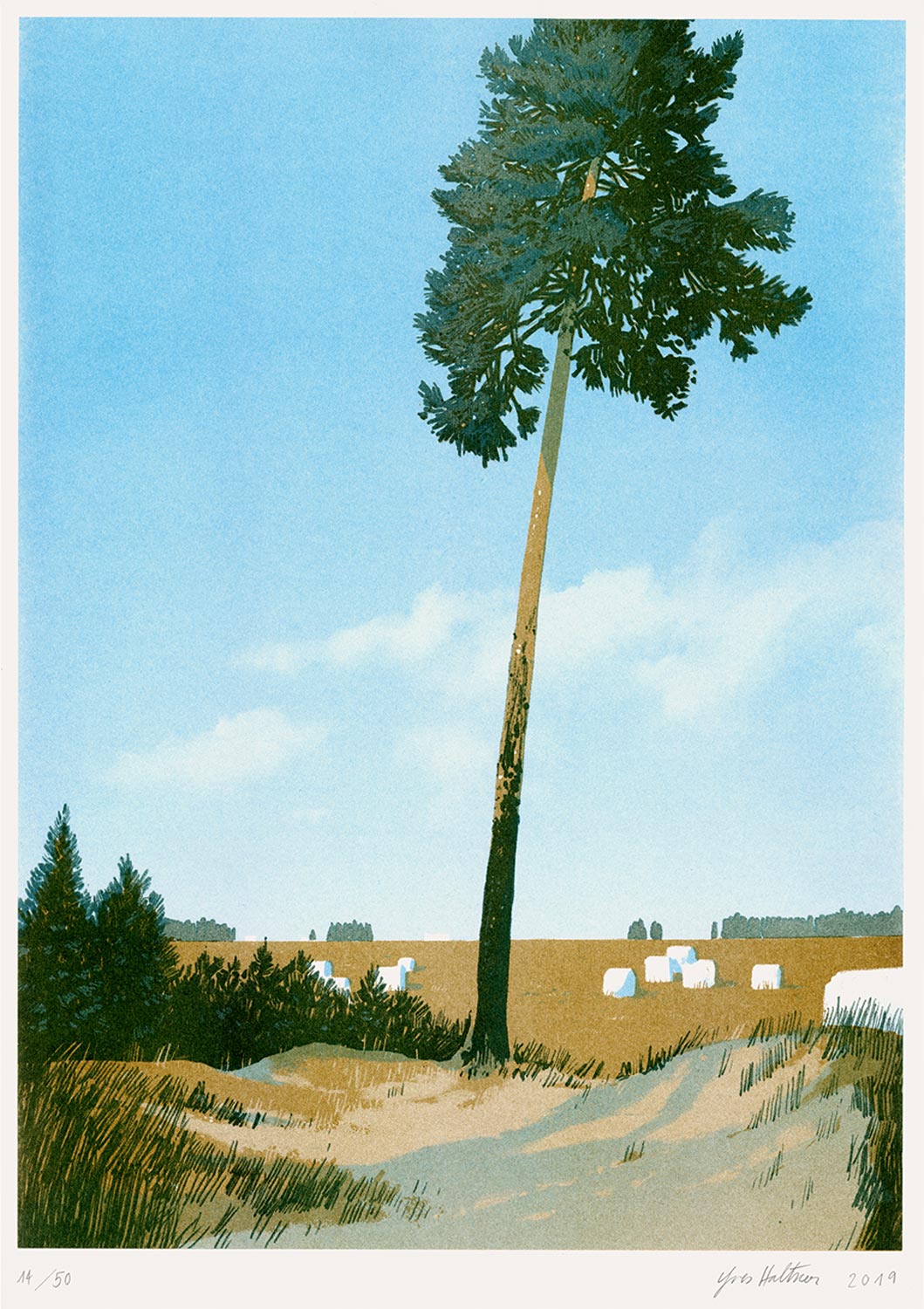 Brandenburg - Yves Haltner