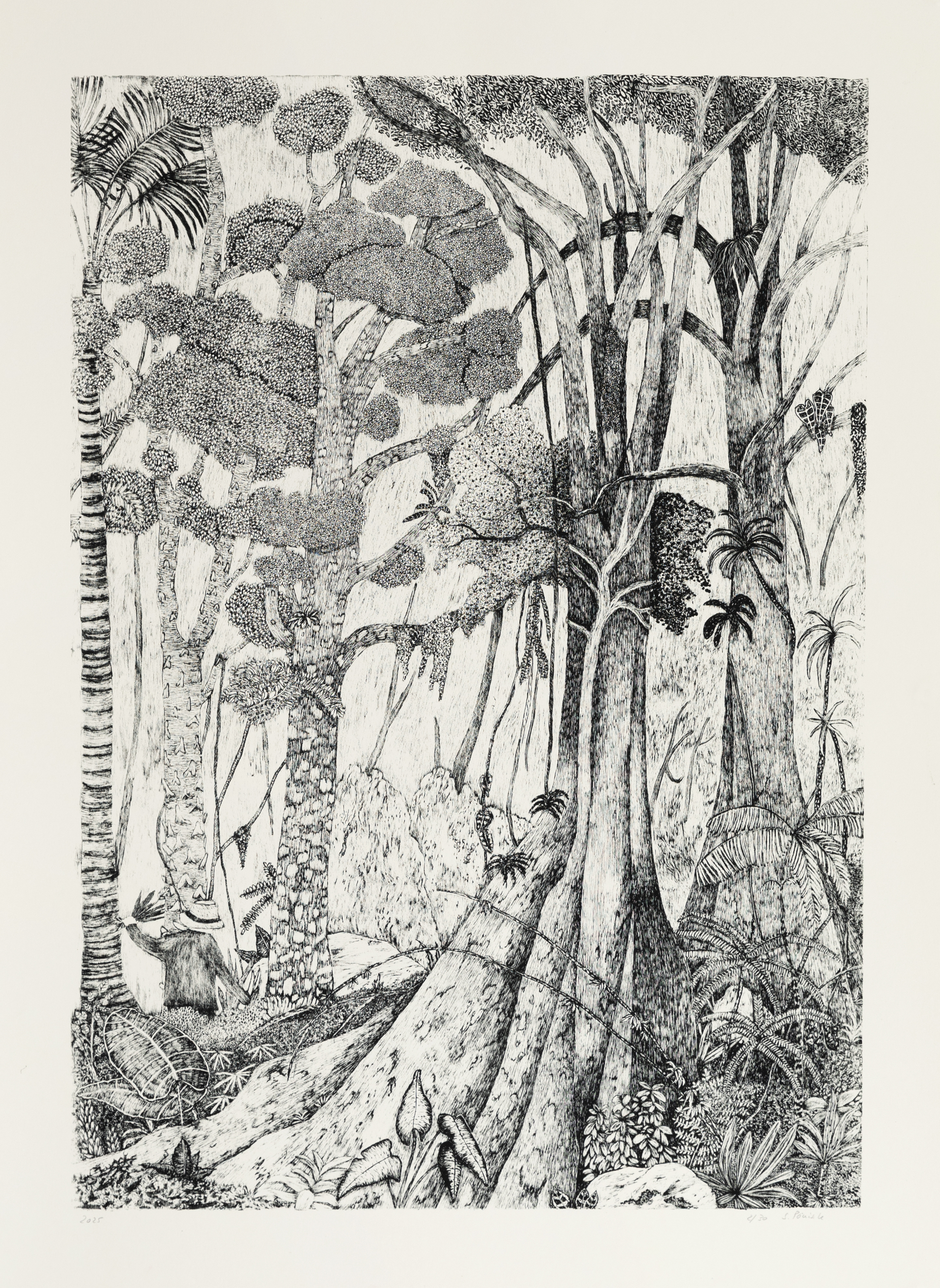 Die Entdeckung der Bromelie – Susann Pönisch