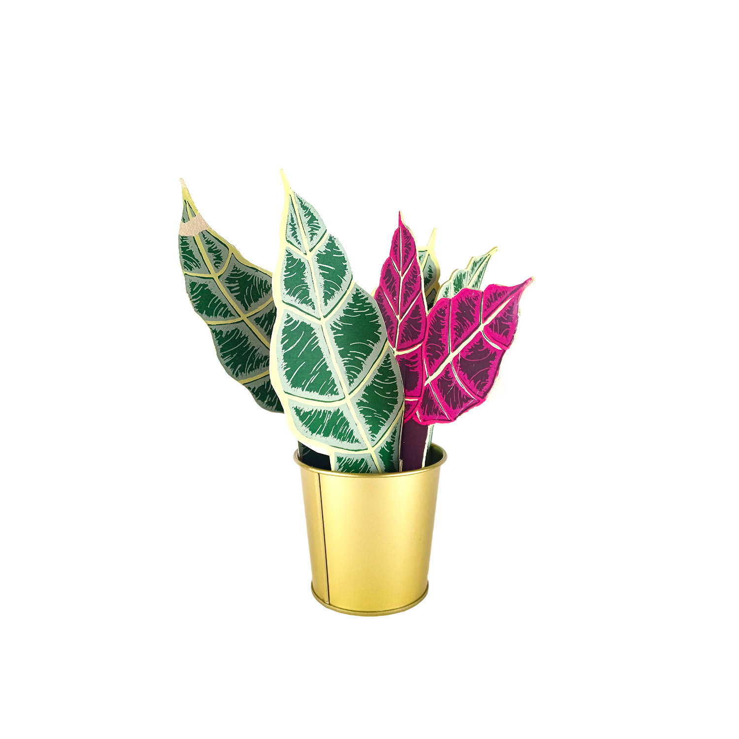 Korbmarante – Susann Pönisch