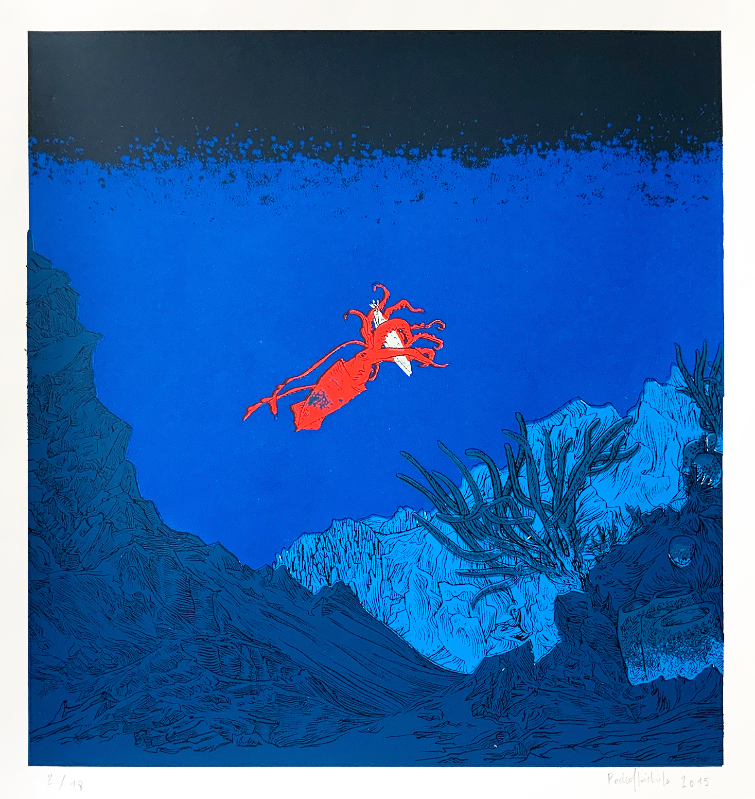 20.000 lieues sous la mer - Pedro Stoichita