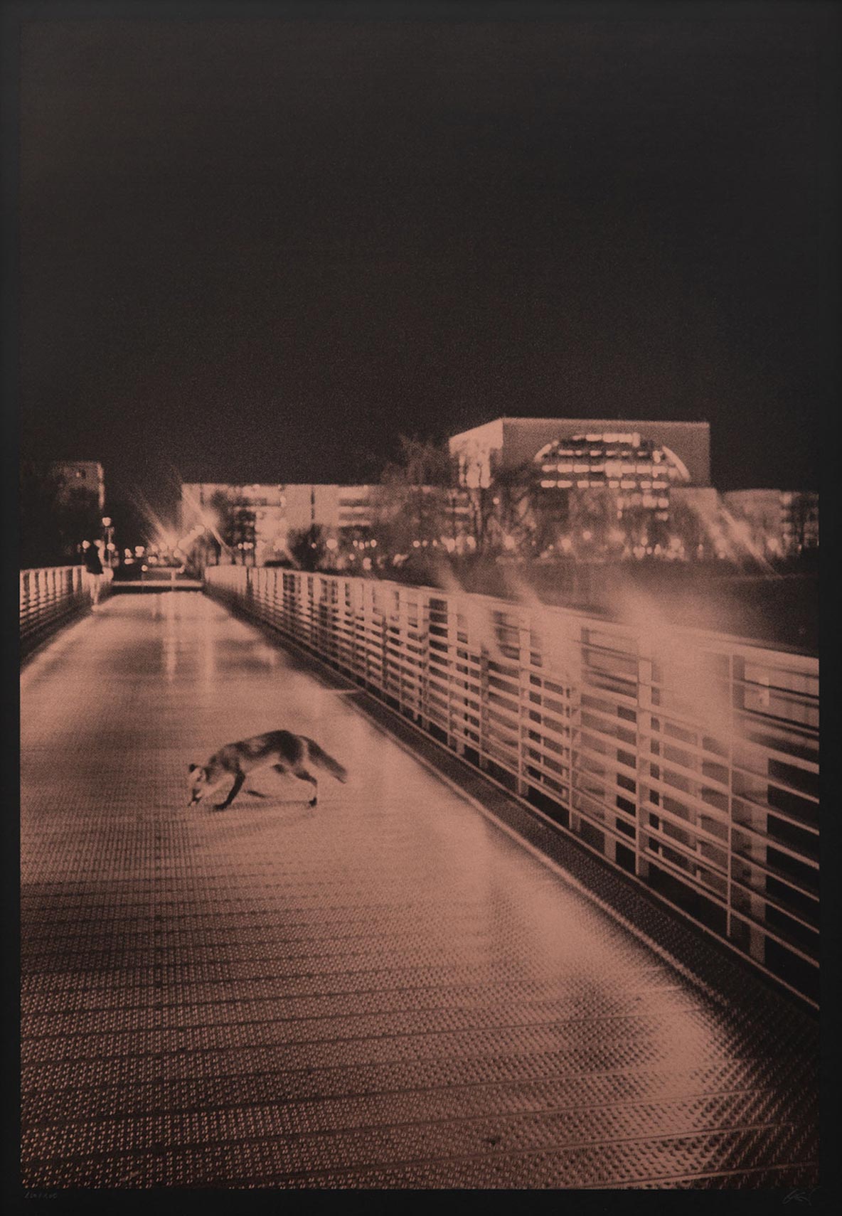 Christian Reister – Fuchs