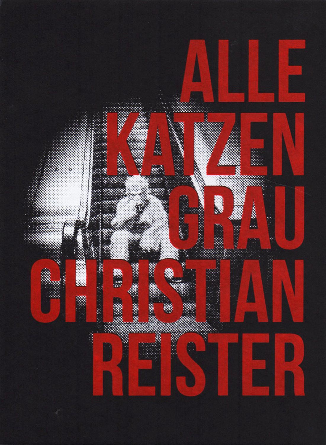 Christian Reister - Alle Katzen Grau