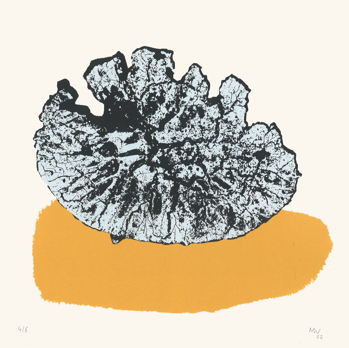 Fossilisation – MIchael Wismar