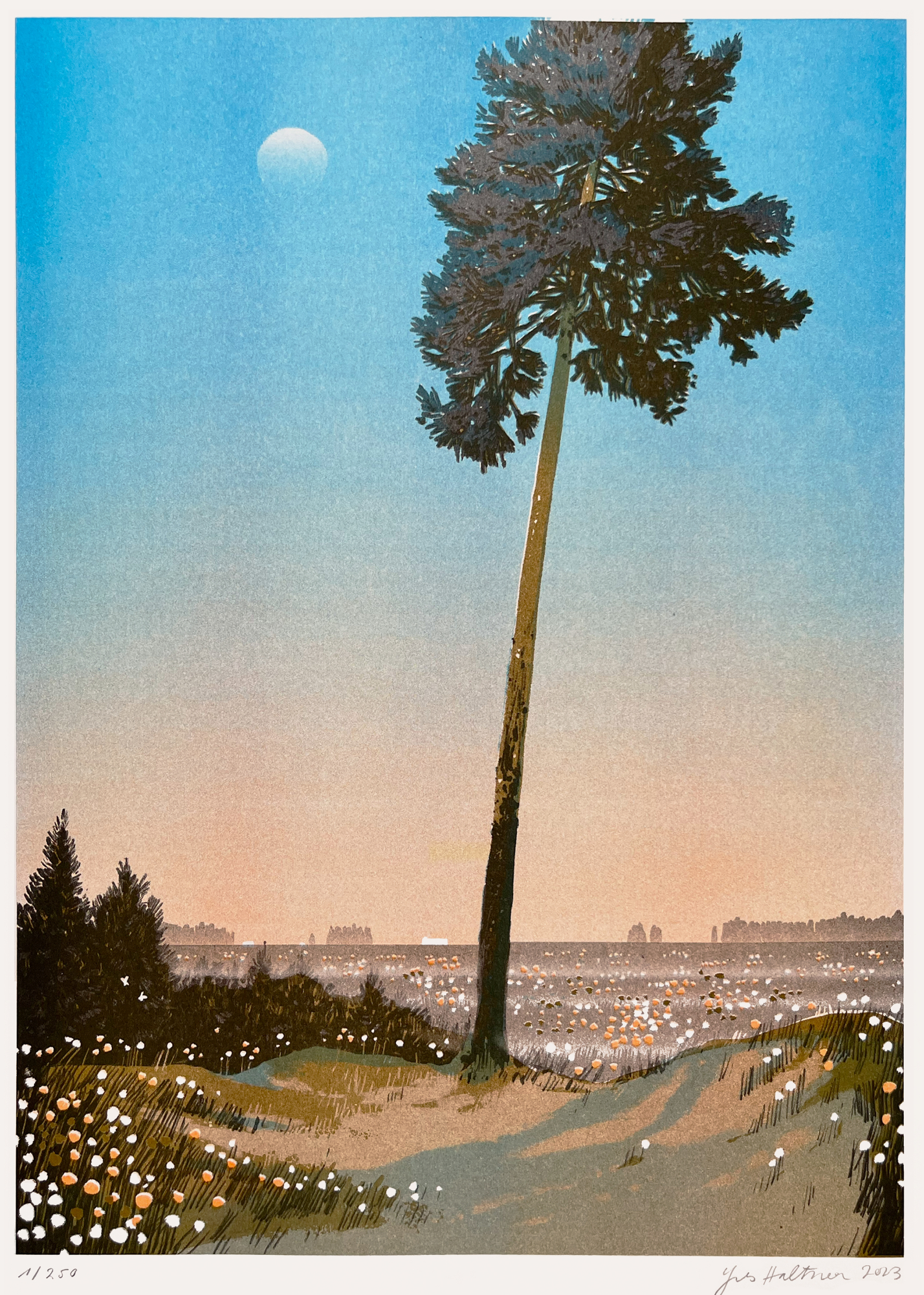 Yves Haltner – Brandenburg IV