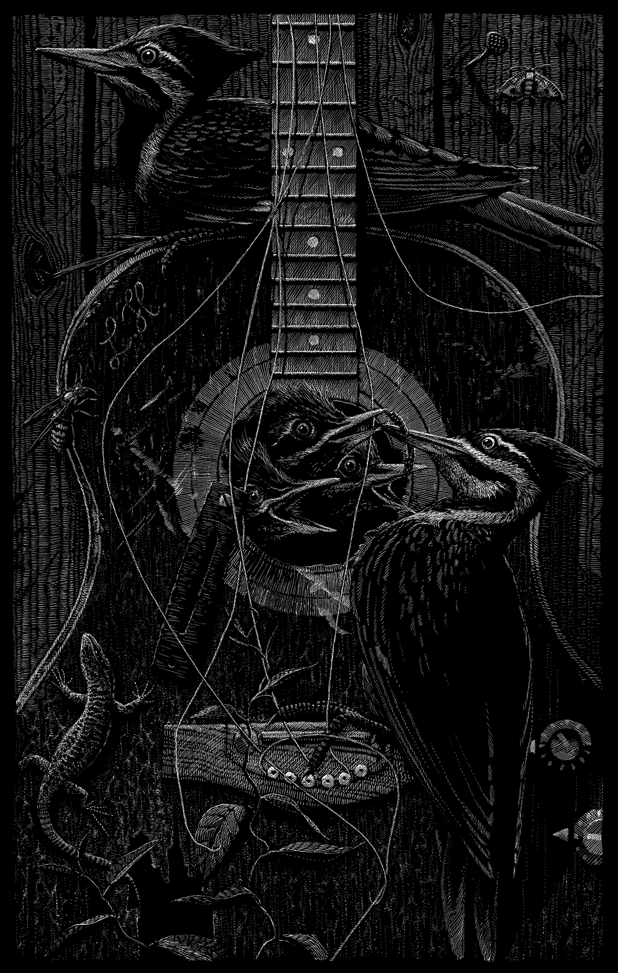 Woodpecker  – Phillip Janta