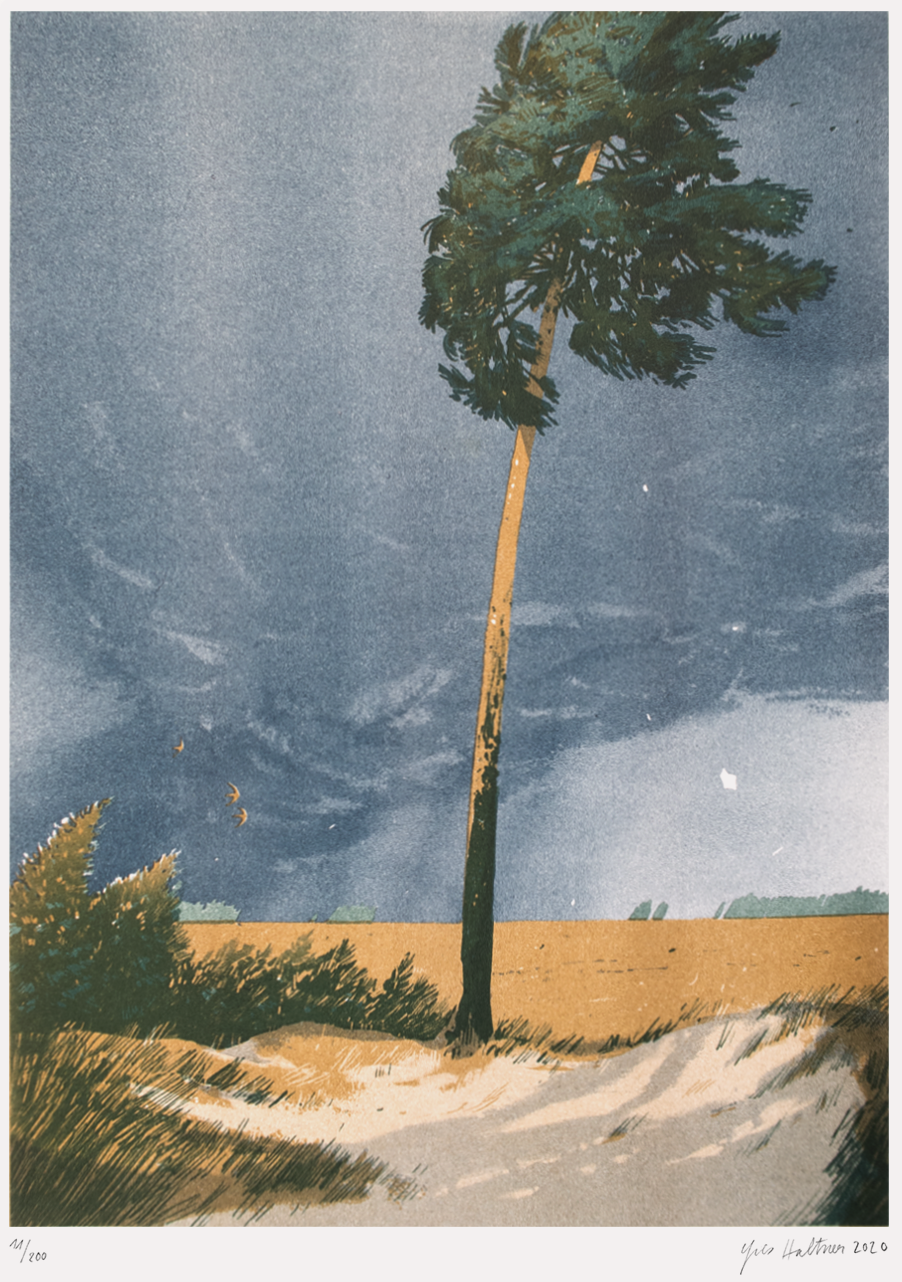 Brandenburg II - Yves Haltner