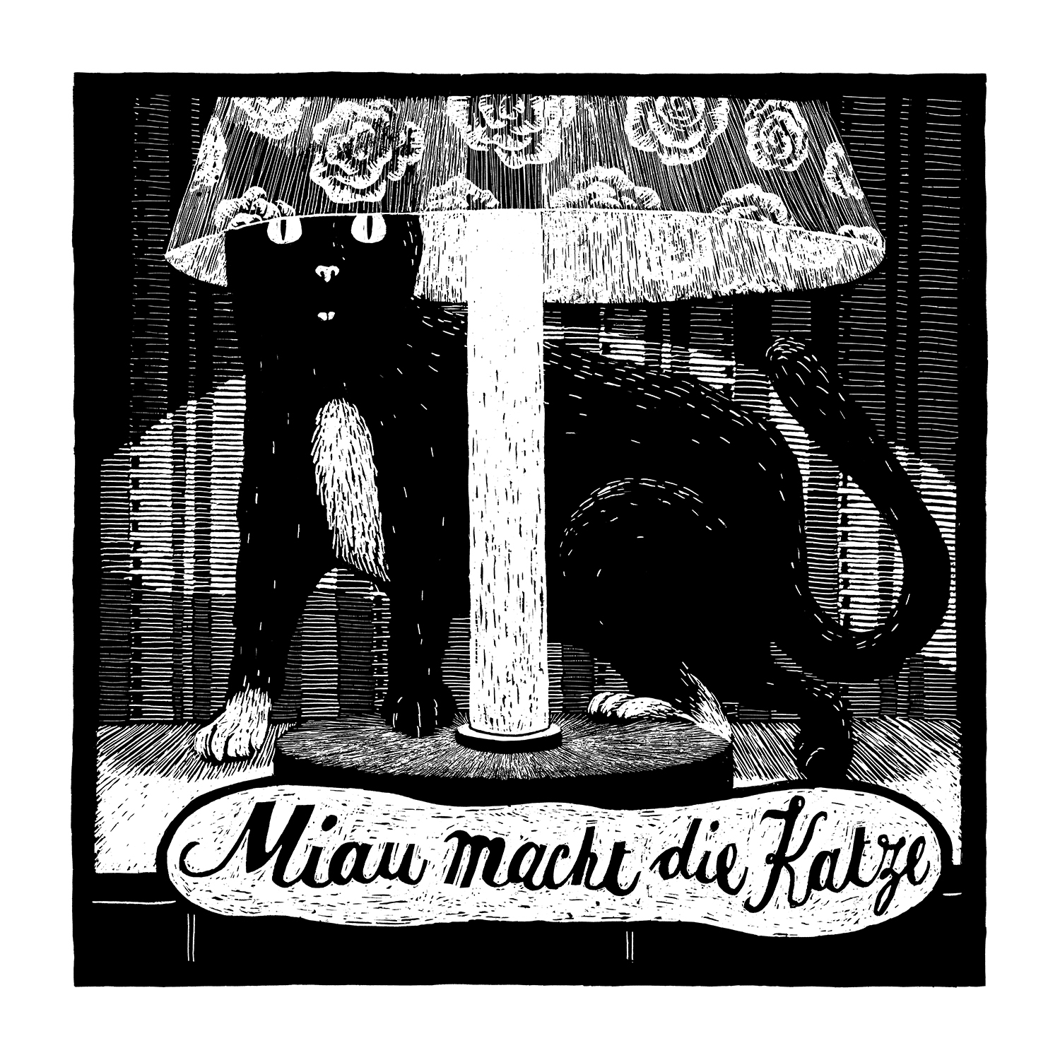 Katze – Phillip Janta