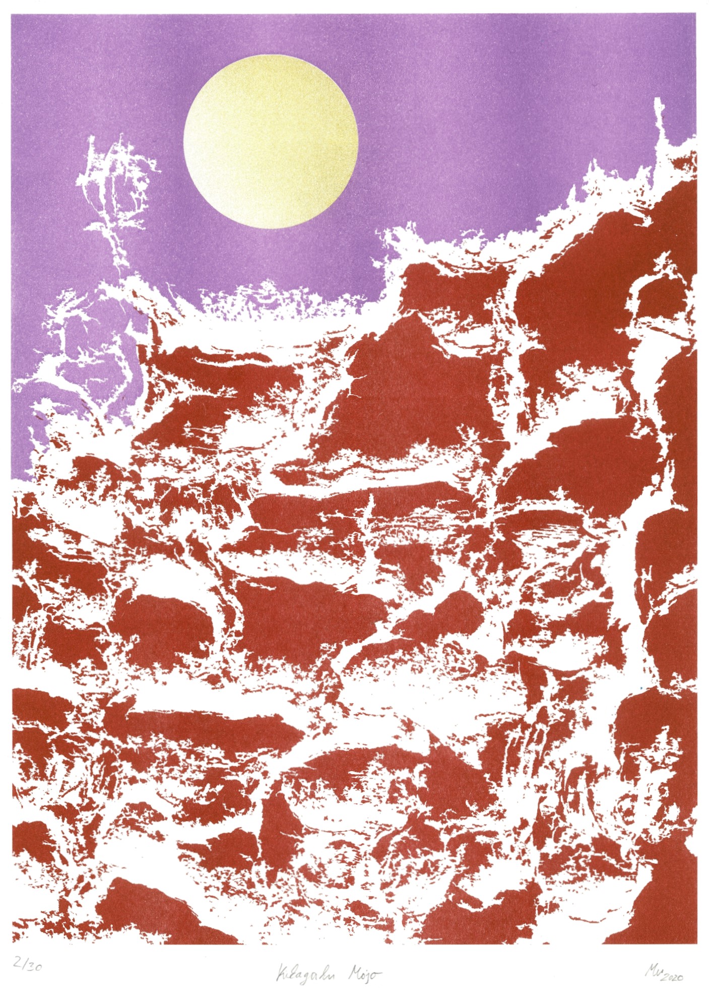 Michael Wismar - Kikagaku Mojo