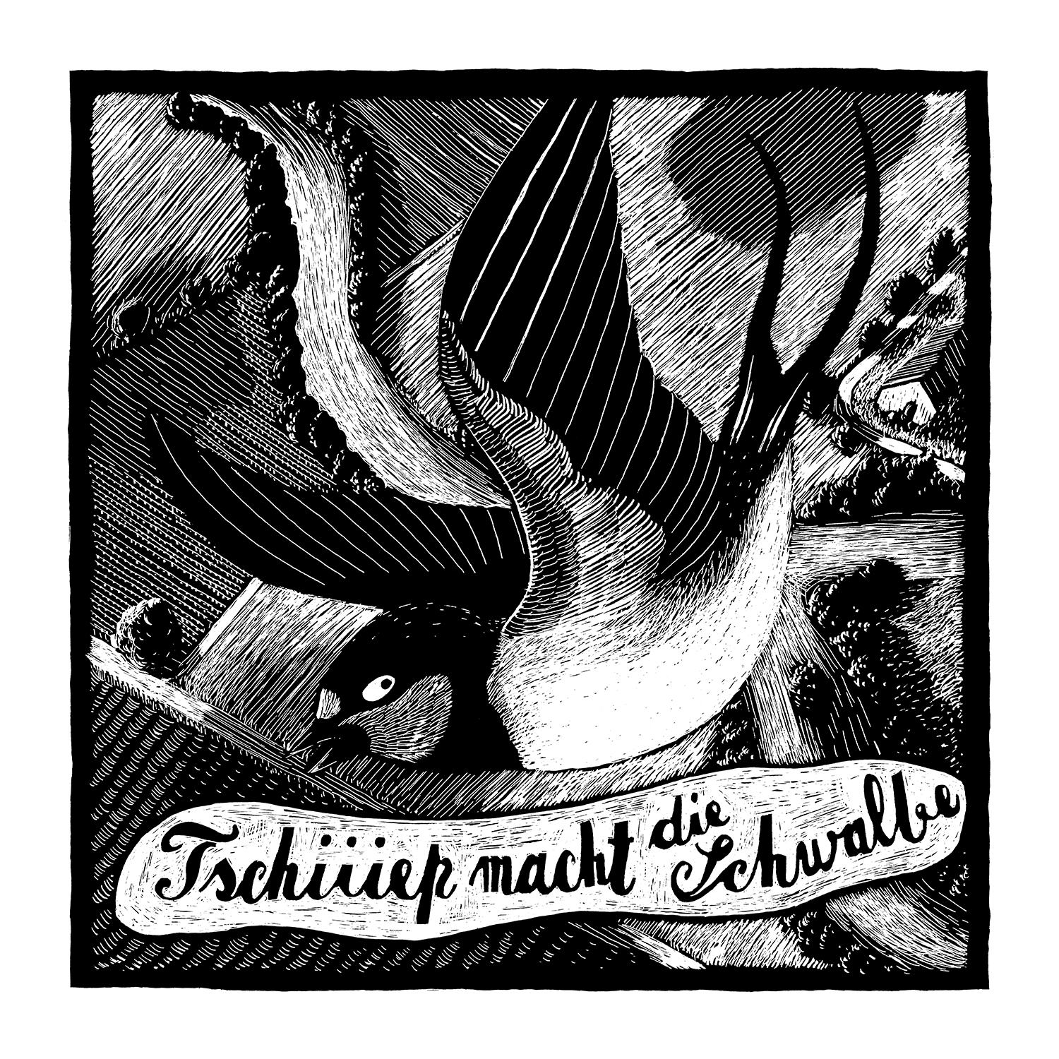 Schwalbe – Phillip Janta