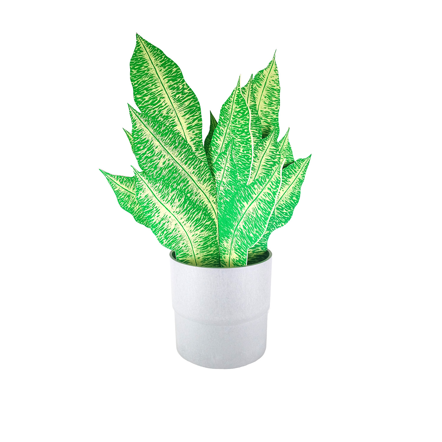 Dieffenbachi (grün) – Susann Pönisch