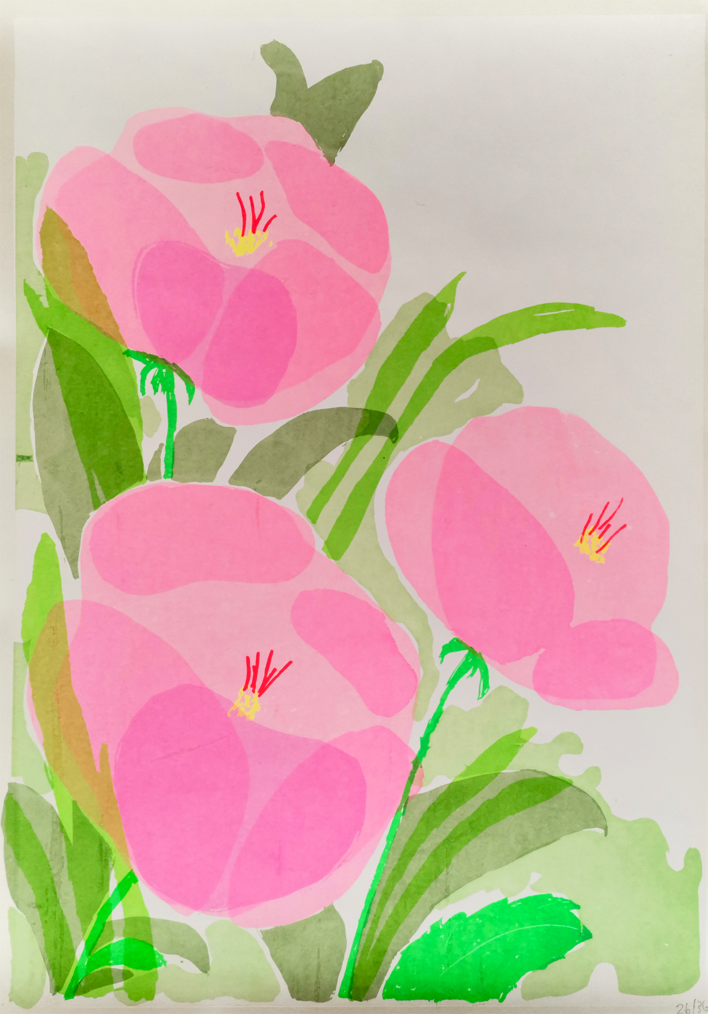 Rosa Blumen - Olivia Pils